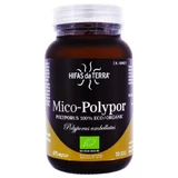 HIFAS DA TERRA MICO-POLYPOR 70 CÁPSULAS