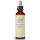 RIMEDIO FLOREALE DI BACH HORNBEAM N. 17 20 ML