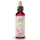 BACK ELIXIR FIORI DI OLMO N. 11 20 ML
