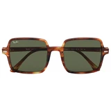 RAY BAN 1973 KLEUR 954/31 MAAT 53/20