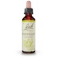 RIMEDIO FLOREALE DI BACH CAPRIFOLIO N. 16 20 ML
