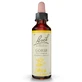 RIMEDIO FLOREALE DI BACH: GORSE n. 13, 20 ml