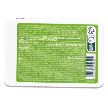 LEHNING SWISS DIGESTION PASTE 40 GOMINOLAS