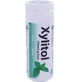 XYLITOL 30 CHEWING GUM - SPEARMINT