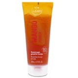 LAINO MANGO POWER GOMMAGE GRANITE CORPS 200ML