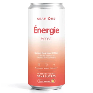 GRANIONS ENERGIE ZUCKERFREIES ZITRUS-SPRUDELGETRÄNK 330 ML