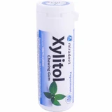 XYLITOL 30 PEPPERMINT-KAUGUMMI