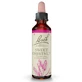 BACH FLOWER REMEDY SWEET CHESTNUT No. 30 20ML
