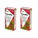 Floradix IJzer en Vitaminen, 2x84 tabletten