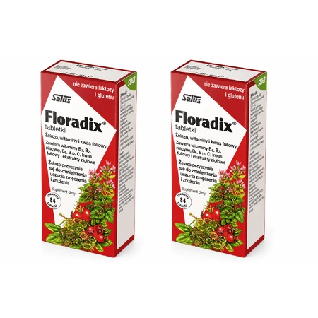 Floradix IJzer en Vitaminen, 2x84 tabletten