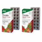 Floradix IJzer en Vitaminen, 2x84 tabletten