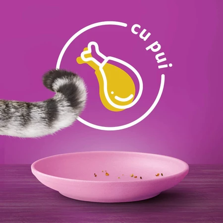 WHISKAS Junior, Kip, droogvoer voor jonge katten, 1,4 kg