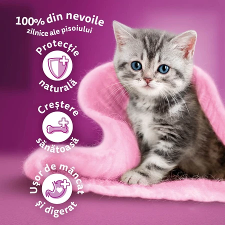 WHISKAS Junior, Kip, droogvoer voor jonge katten, 1,4 kg