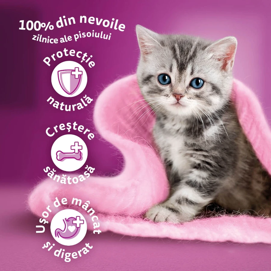 WHISKAS Junior, Kip, droogvoer voor jonge katten, 1,4 kg