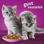 WHISKAS Junior, Kip, droogvoer voor jonge katten, 1,4 kg