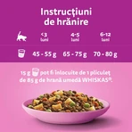 WHISKAS Junior, Kip, droogvoer voor jonge katten, 1,4 kg