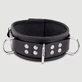 Collar de cuero con anillas en forma de D - Negro