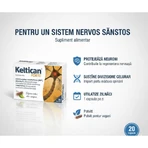 Keltican Forte, 8x20 capsules, Sun-Farm