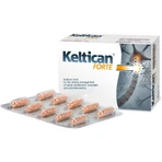 Keltican Forte, 8x20 capsules, Sun-Farm