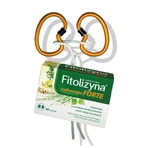 Fitolizyna Nefrocaps Forte, 2x60 capsule, Polpharma