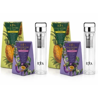 2 Confezione da 2 lattine di tè freddo + bottiglia con infusore a doppia parete