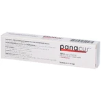 Panacur 187.5 mg/g paste for dogs and cats 2x4,8 g