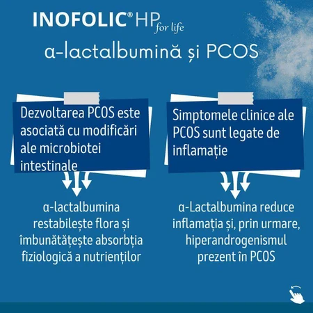 Inofolic HP, 3x30 sachets, Loli Pharma