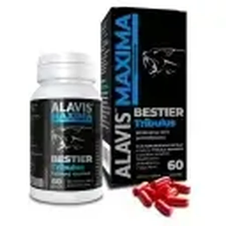 Alavis Maxima Bestier Tribulus 2x60 capsules