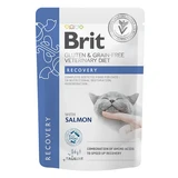 Recovery Wet Cat Food with Salmon, 85 g, Brit
