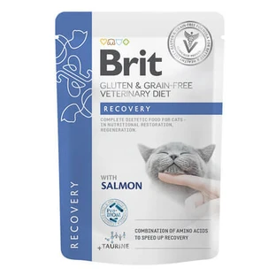 Recovery Nassfutter für Katzen mit Lachs, 85 g, Brit