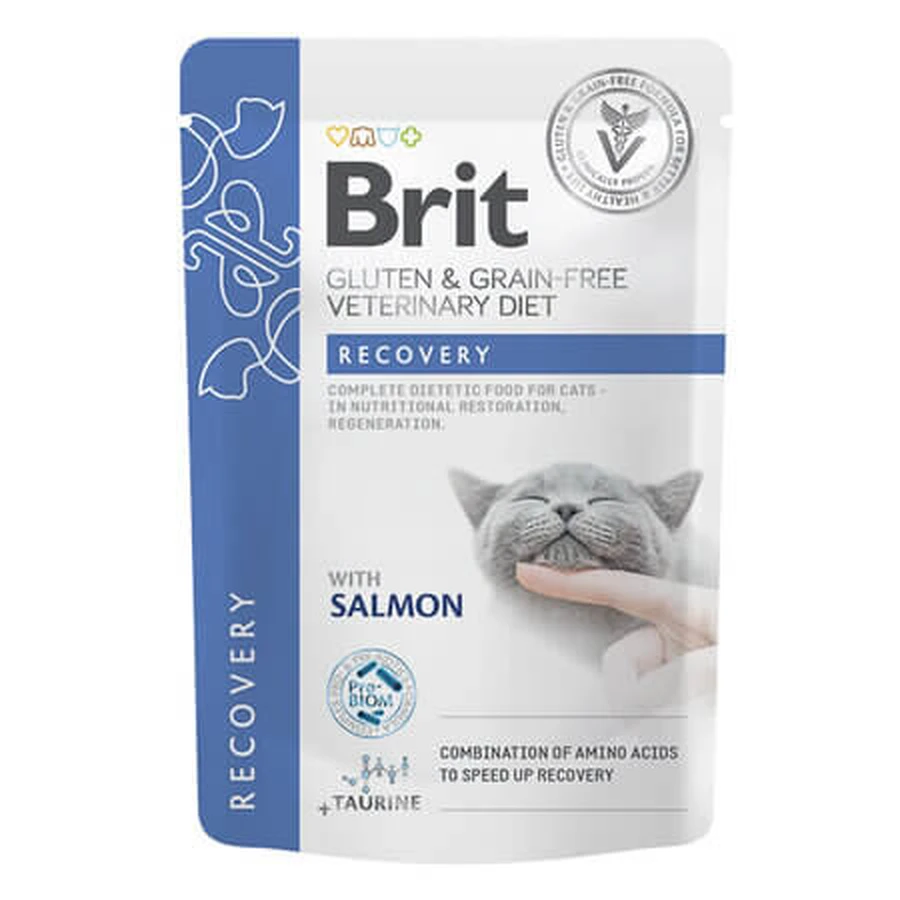 Recovery Nassfutter für Katzen mit Lachs, 85 g, Brit