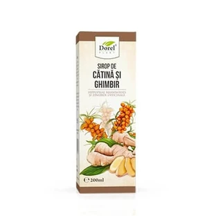 Sanddorn-Ingwer-Sirup, 200 ml, Dorel Plant