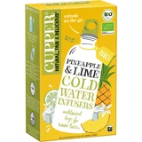 Thé glacé aux fruits, saveur ananas et citron vert, 10 sachets, Cupper