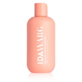 Herstellende conditioner voor beschadigd haar, 250 ml, Ida Warg