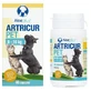 Artricur Joint and Mobility Supplement for Dogs and Cats, 200 mg, 60 capsules, Aloeplus