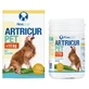 Artricur Joint and Mobility Supplement for Dogs and Cats, 400 mg, 60 capsules, Aloeplus