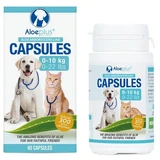 Aloe-Nahrungsergänzungsmittel für die allgemeine Gesundheit von Katzen und Hunden, 60 Kapseln, Aloeplus