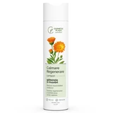 Essential Calendula and Chamomile Shampoo for Soothing and Regeneration, 250 ml, Cosmetic Plant