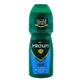 Ice Fresh Roll-On anti-transpirant voor mannen, 100 ml, Mitchum