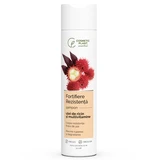 Essential Castor Oil and Multivitamin Shampoo for Strength and Resilience, 250 ml, Cosmetic Plant