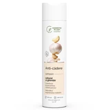 Champú Essential contra la caída del cabello con ajo y jengibre, 250 ml, Cosmetic Plant