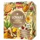 Ginger Collection Assorted Herbal Tea, 32 tea bags x 1.8 g, Lovare