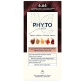 Tinte permanente para el pelo, tono 6.66: rojo cereza intenso, 50 ml, Phyto