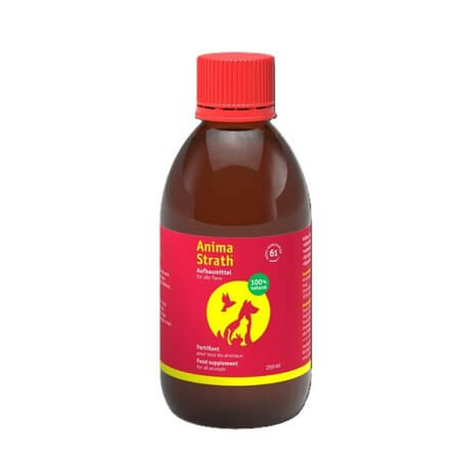 Anima-Strath Fortifying Syrup for Dogs and Cats, 250 ml, Bio-Strath