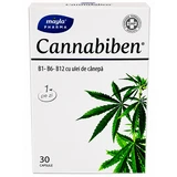 Cannabiben Vitamin Complex with Hemp Oil, 30 capsules, Mayla Pharma
