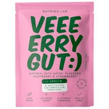 Very Gut Oatmeal Mix with Oat Flakes, Dates, Raspberries, and Strawberries, 60 g, Nutrino Lab