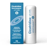 Cicatridina SPF 30 Sunscreen Lip Balm, 5.5 ml, Naturpharma