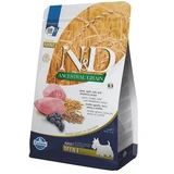 N&D Adult Mini Ancestral Grain Dry Dog Food with Lamb, Alac, Oats, and Blueberries, 2500 g, Farmina