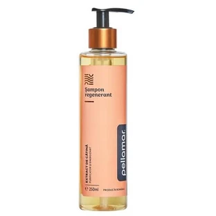 Beauty Hair Deluxe Regenerating Shampoo with Sea Buckthorn Extract, 250 ml, Pellamar