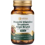 Irish Moss, Burdock, and Brown Algae 750 mg — 60 capsules for digestion, gut flora, natural detoxification, and metabolism | Traditional Herbs